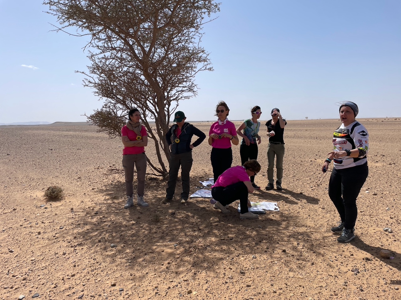 Formation navigation Gazelles.jpeg